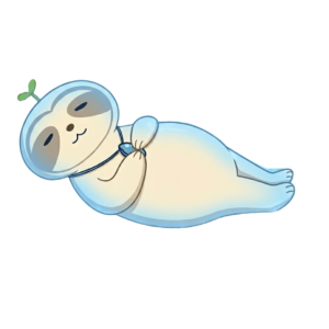 Sleeping Capsule